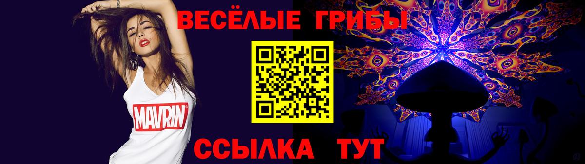 Советский  Галлюциногенные грибы GOLDEN TEACHER  Вход с VPN 